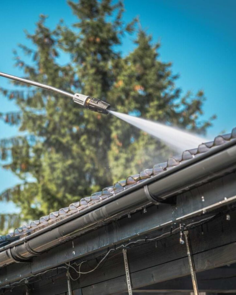 Disparaît les fientes d'oiseaux